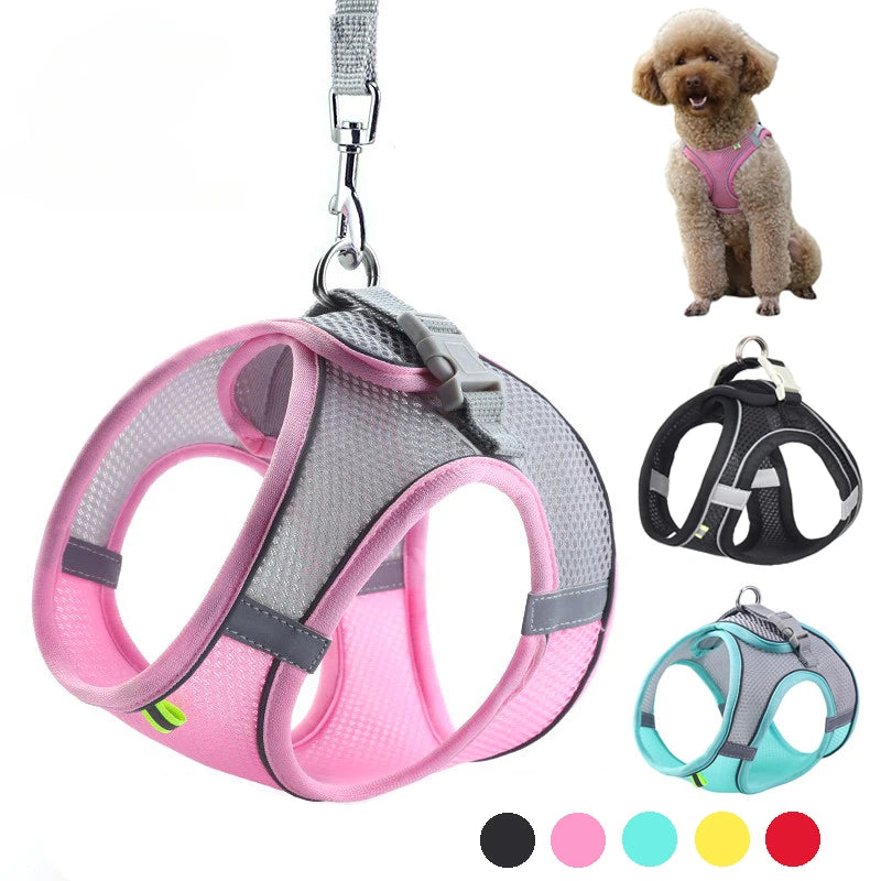 Ensemble harnais pour chiot et petit chien