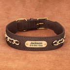 Collier en cuir personnalisé pour chien – plaque d'identification