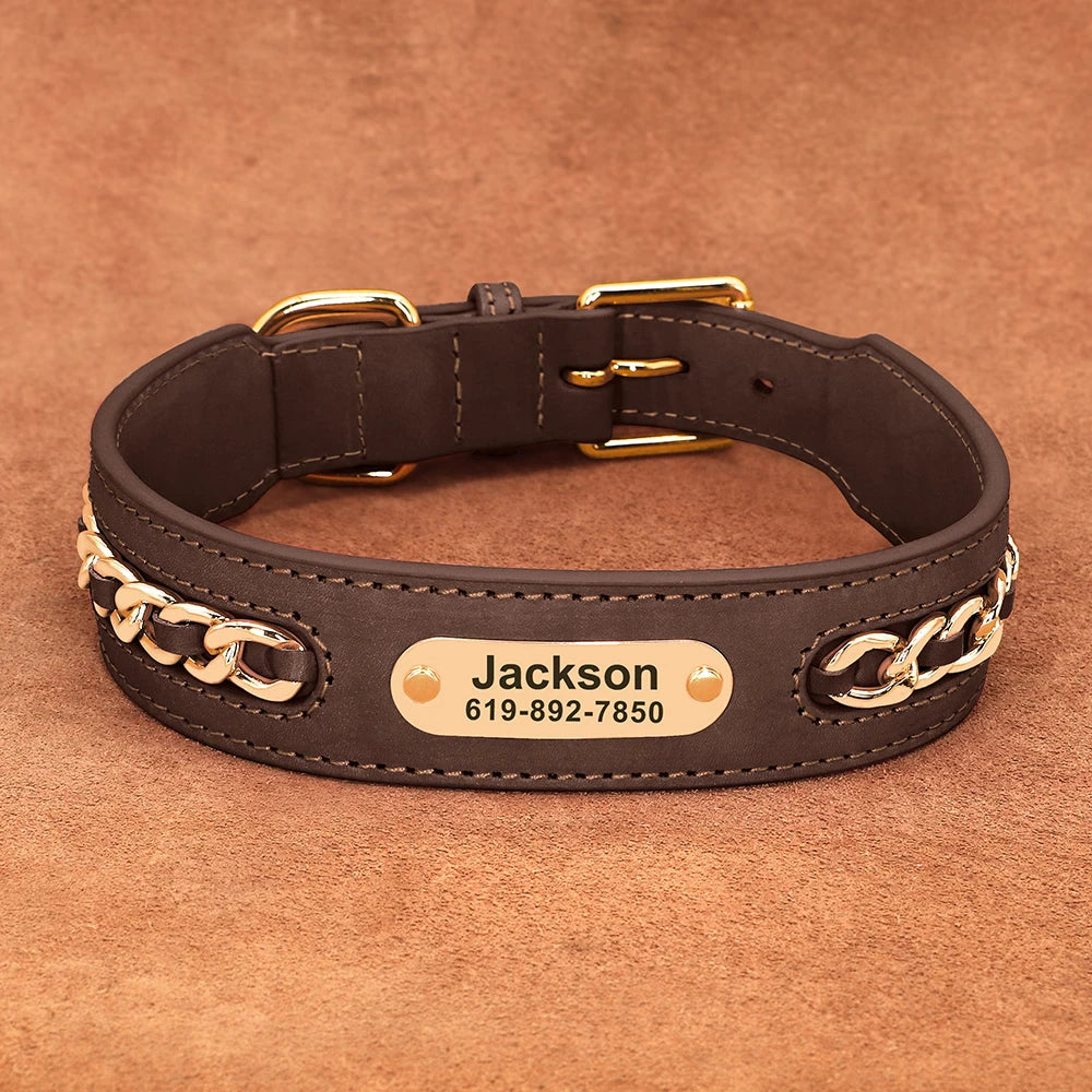 Collier en cuir personnalisé pour chien – plaque d'identification