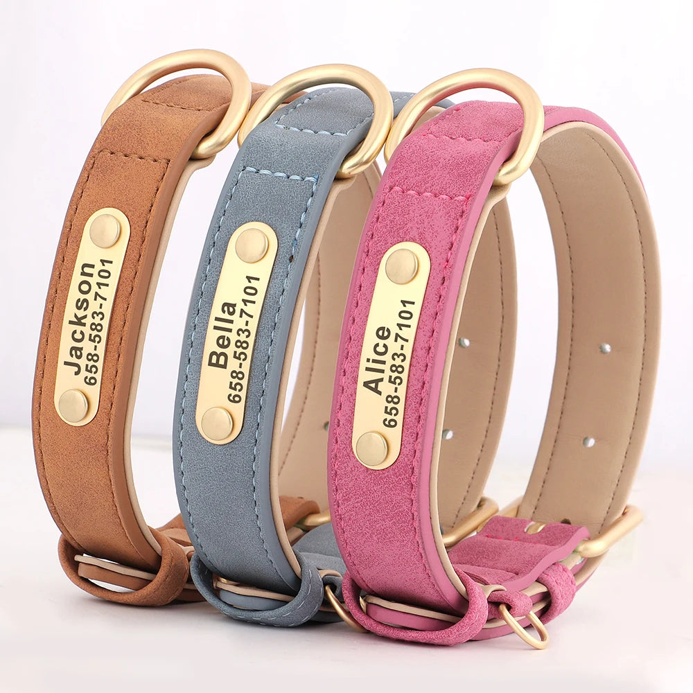 Collier personnalisé doré pour chien