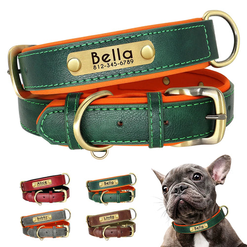 Collier en cuir personnalisé avec plaque pour chien