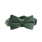 Ensemble collier, harnais et laisse en velours