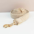 Ensemble collier et laisse en velours Teddy