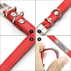 Collier personnalisé pour chien – prénom gravé anti-fugue