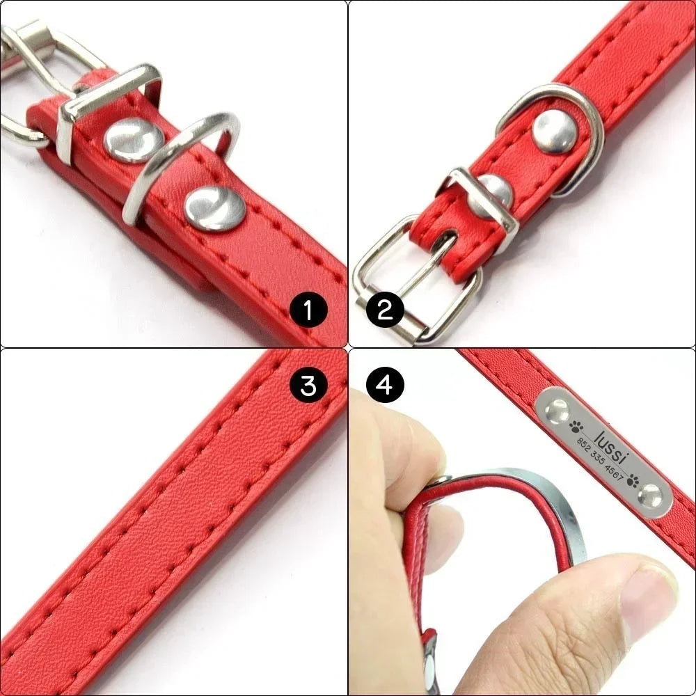 Collier personnalisé pour chien – prénom gravé anti-fugue