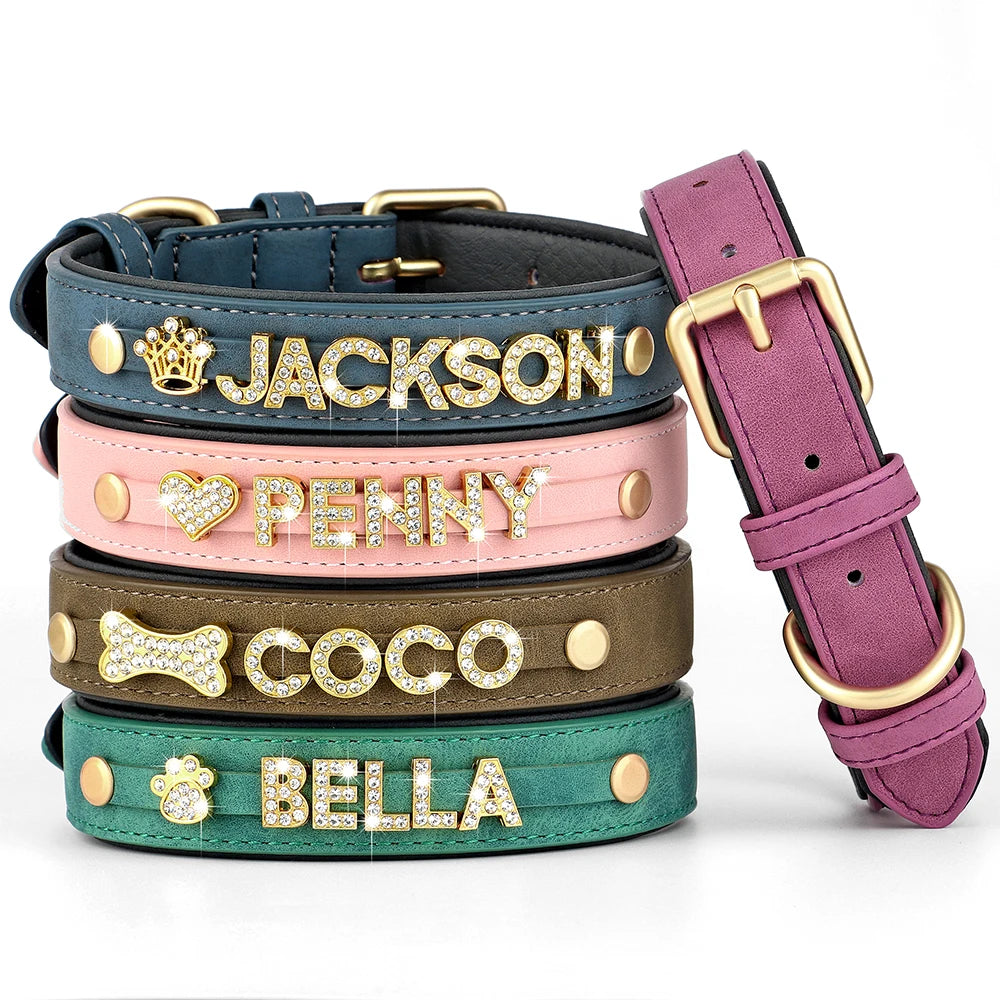 Collier en cuir personnalisé pour chien
