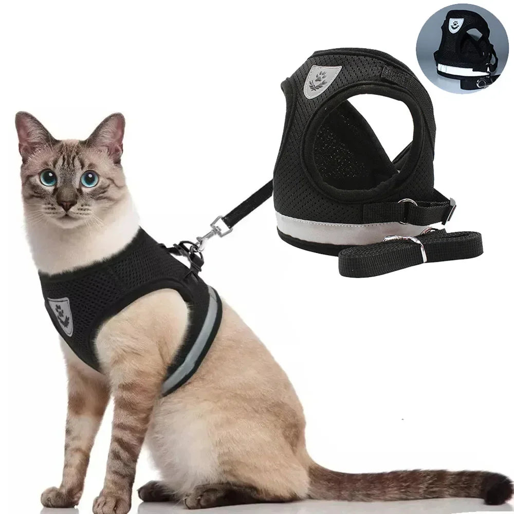 Ensemble harnais et laisse pour chat