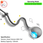 Balle interactive rechargeable pour chat