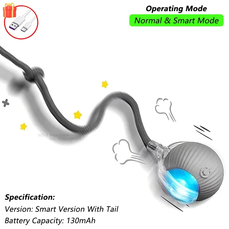 Balle interactive rechargeable pour chat