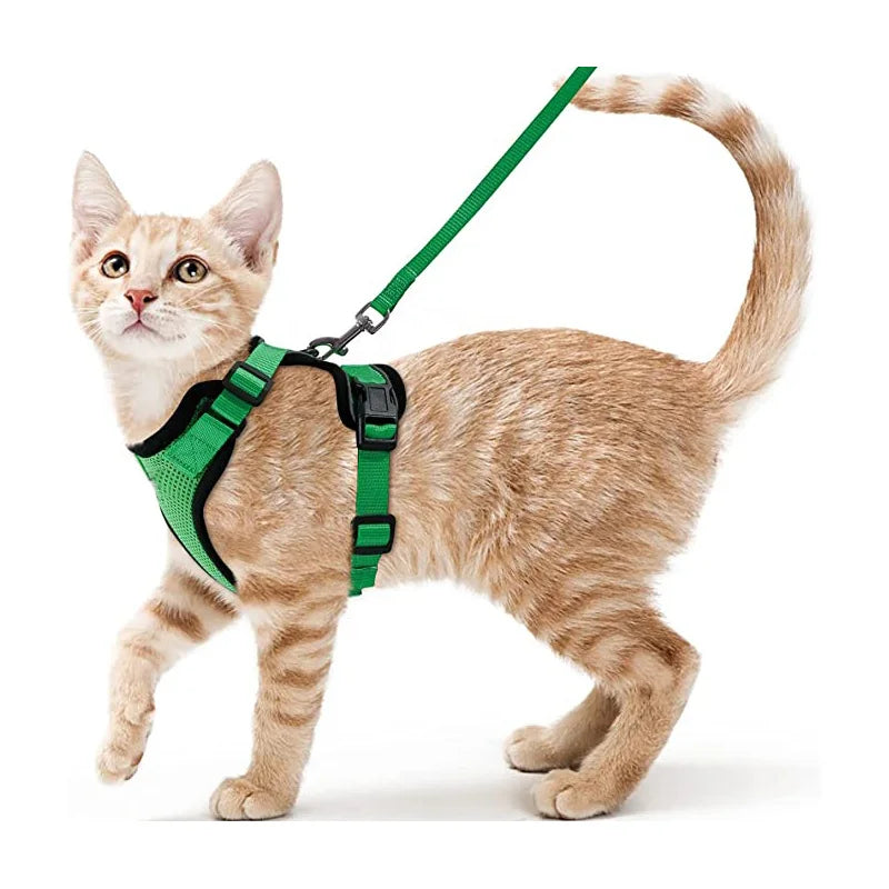 Harnais et laisse anti-fugue pour chat
