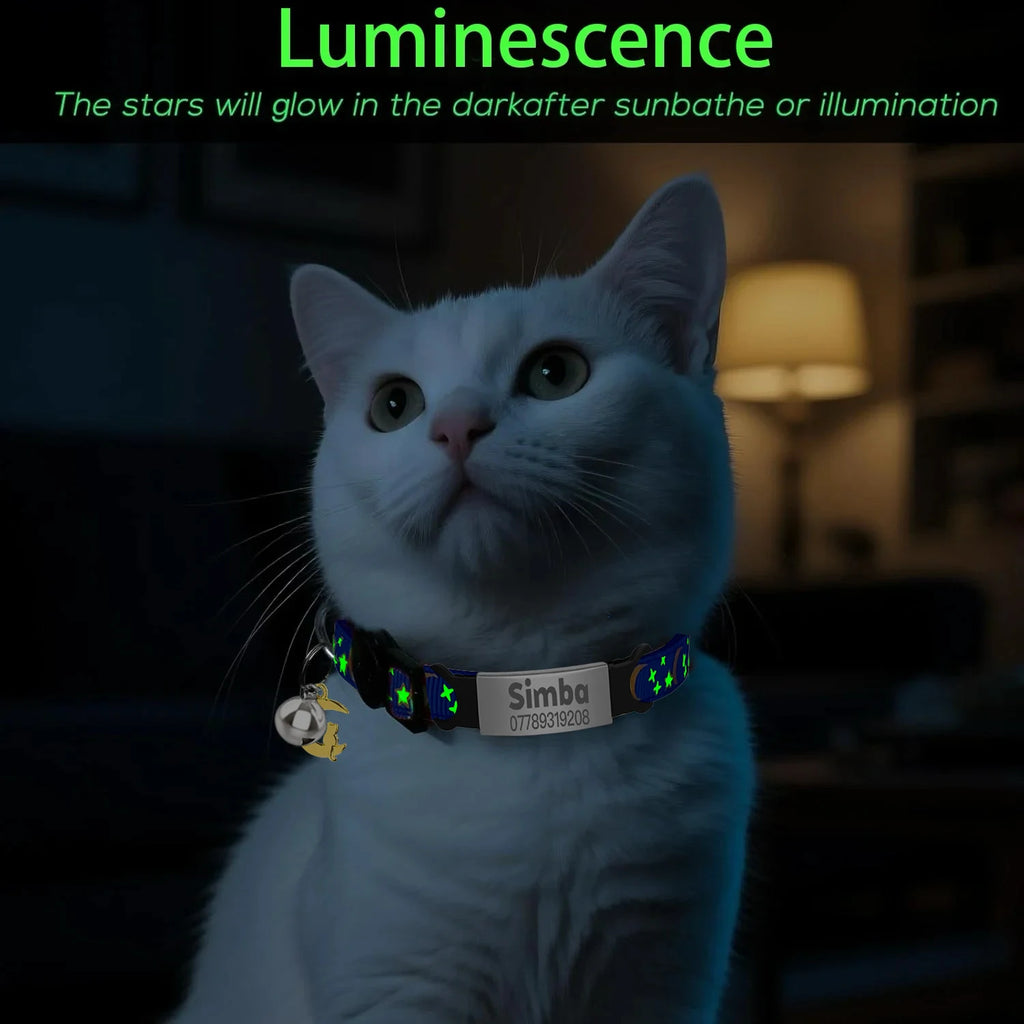 Collier lumineux personnalisé pour chat – plaque anti-fugue
