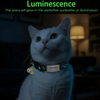 Collier lumineux personnalisé pour chat – plaque anti-fugue