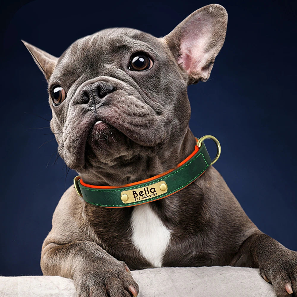 Collier en cuir personnalisé avec plaque pour chien