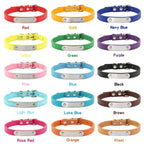 Collier personnalisé pour chien – prénom gravé anti-fugue