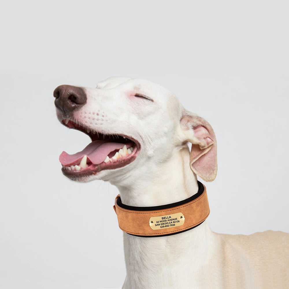 Collier en cuir souple personnalisé pour chien – plaque prénom