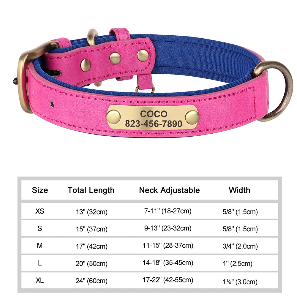 Collier personnalisé doré pour chien