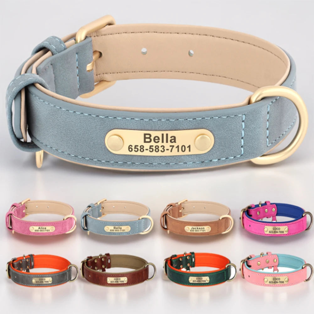 Collier personnalisé doré pour chien