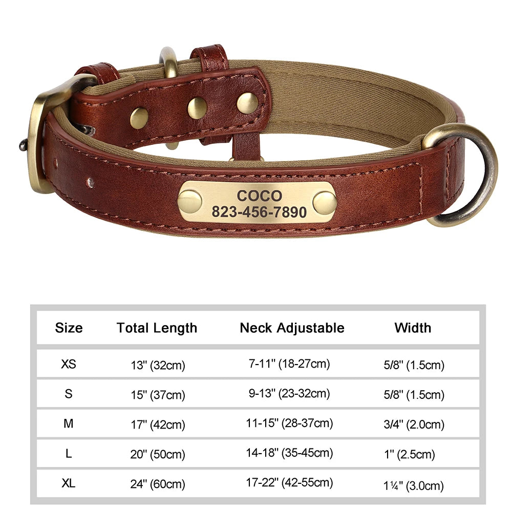 Collier personnalisé doré pour chien