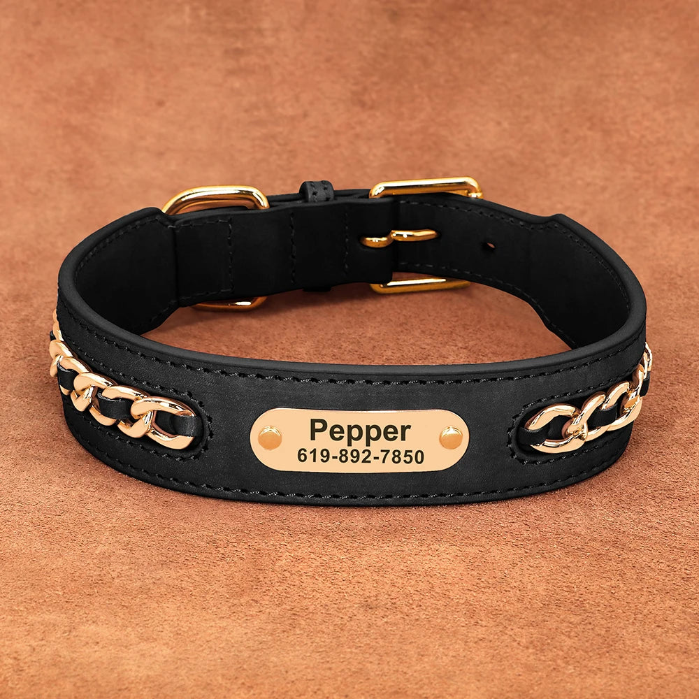 Collier en cuir personnalisé pour chien – plaque d'identification