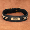 Collier en cuir personnalisé pour chien – plaque d'identification