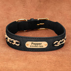 Collier en cuir personnalisé pour chien – plaque d'identification