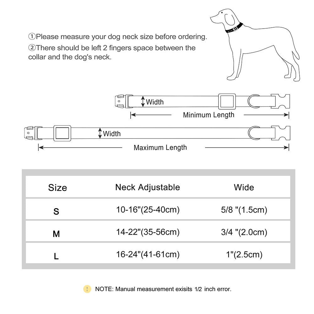 Collier pour chien personnalisé – gravure du prénom