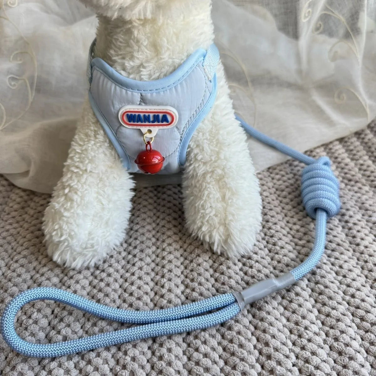 Harnais et laisse pour petits animaux – chiens, chats et lapins