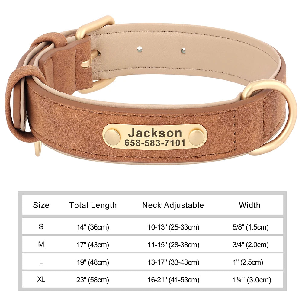 Collier personnalisé doré pour chien