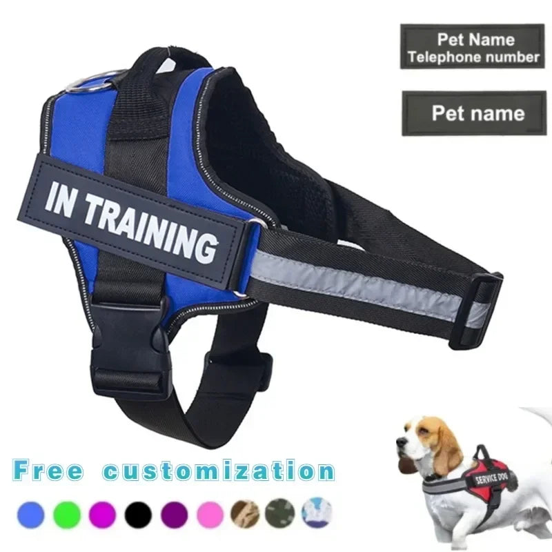 Harnais personnalisé pour chien