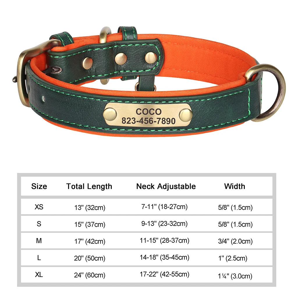 Collier personnalisé doré pour chien