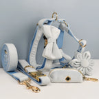 Ensemble collier et laisse en velours bleu clair