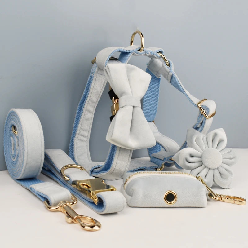 Ensemble collier et laisse en velours bleu clair