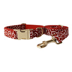 Collier et laisse personnalisés pour chien – nœud gravé