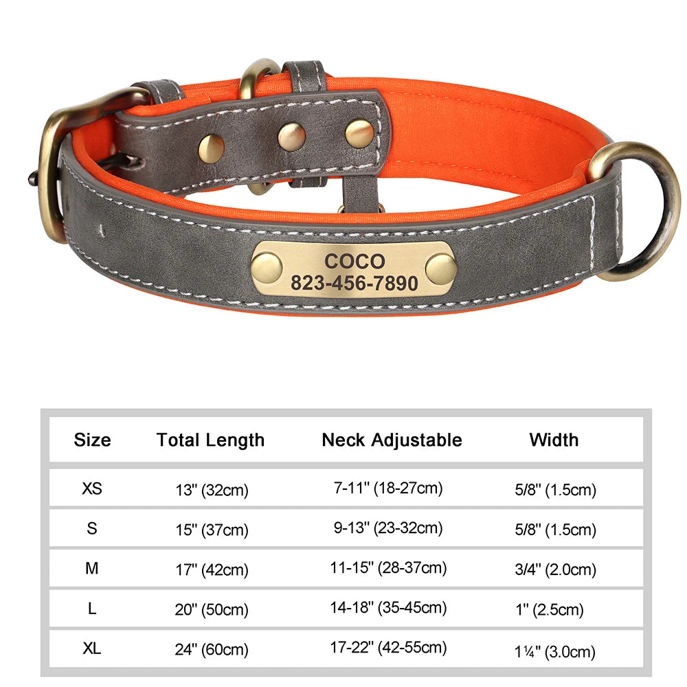 Collier personnalisé doré pour chien
