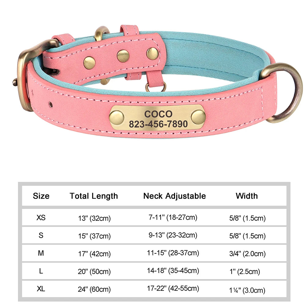 Collier personnalisé doré pour chien
