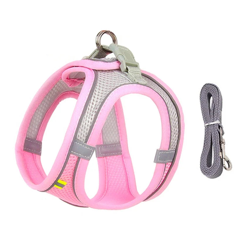 Ensemble harnais pour chiot et petit chien