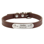Collier personnalisé pour chien – prénom gravé anti-fugue