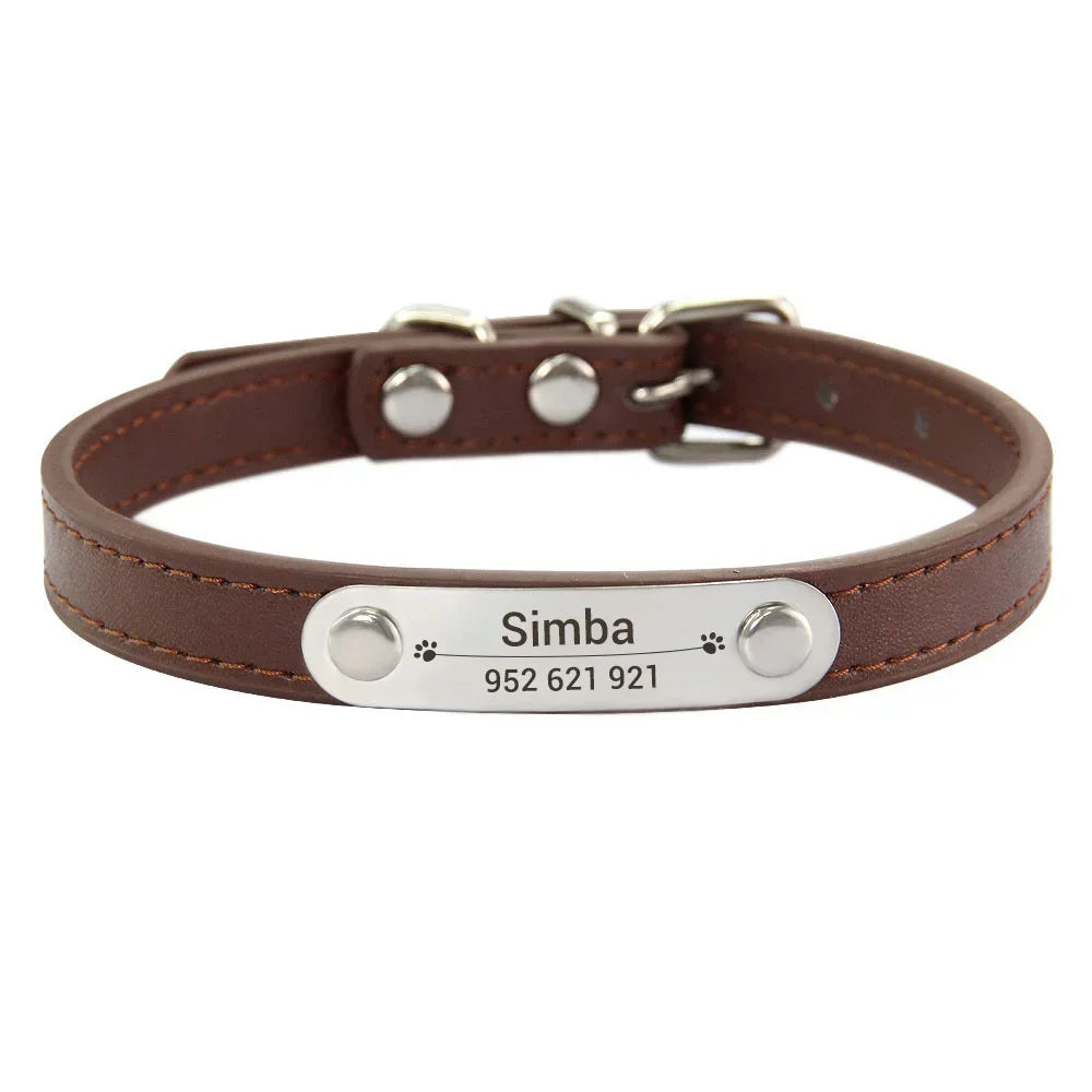 Collier personnalisé pour chien – prénom gravé anti-fugue