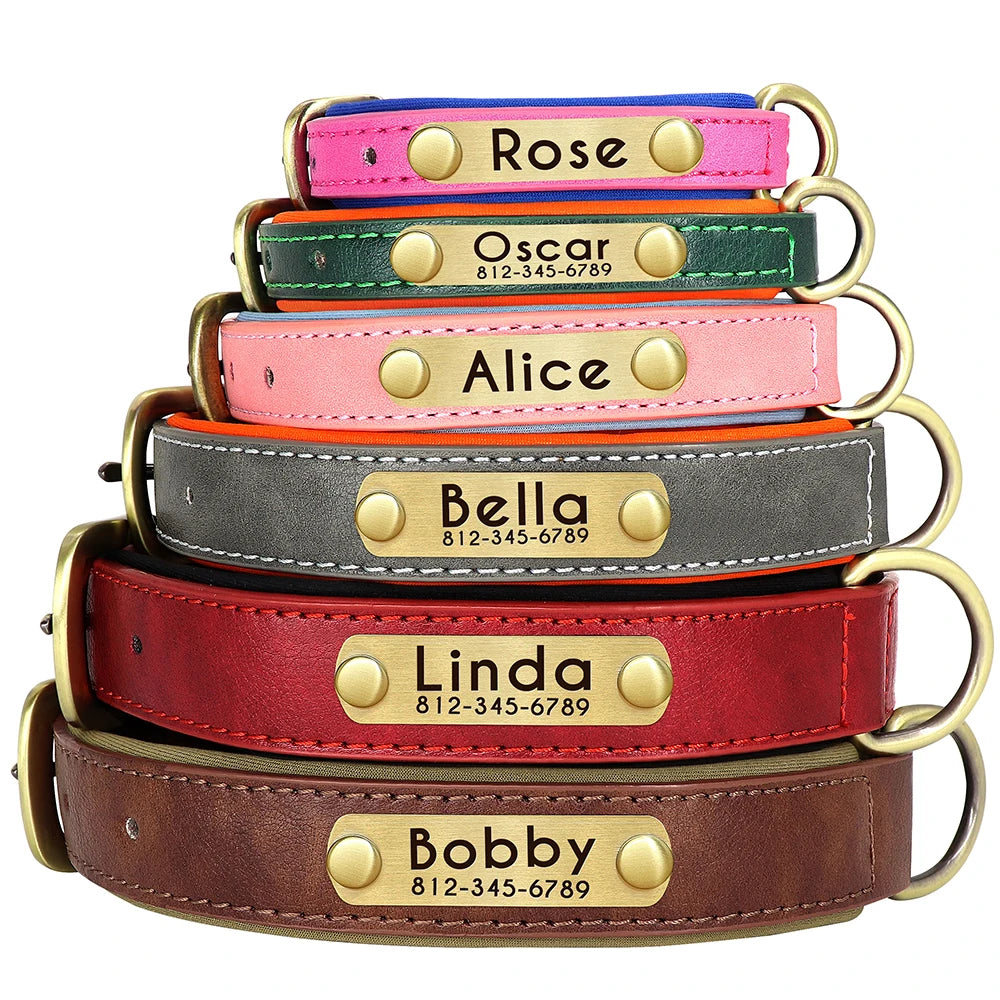 Collier en cuir personnalisé avec plaque pour chien