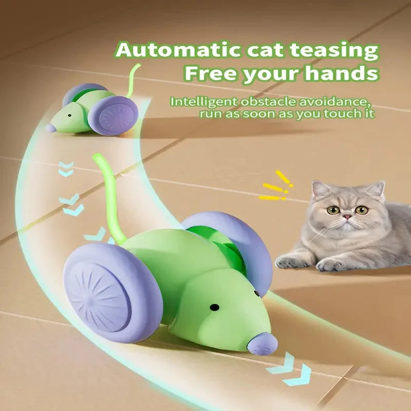 Balle interactive automatique pour chat – rechargeable USB