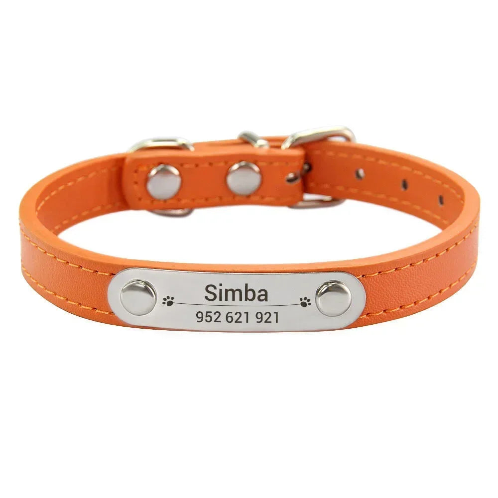 Collier personnalisé pour chien – prénom gravé anti-fugue