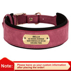 Collier en cuir souple personnalisé pour chien – plaque prénom