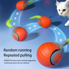 Balle interactive automatique pour chat – rechargeable USB