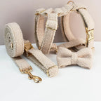 Ensemble collier et laisse en velours Teddy