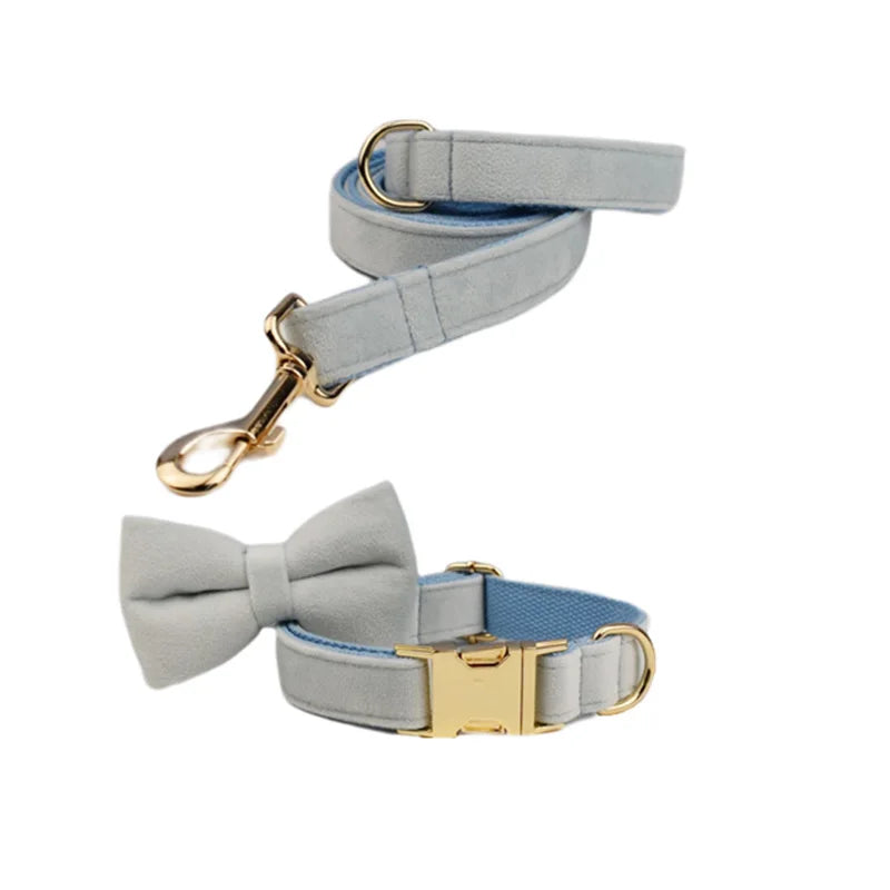 Ensemble collier et laisse en velours bleu clair