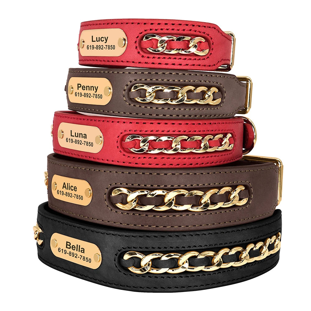 Collier en cuir personnalisé pour chien – plaque d'identification