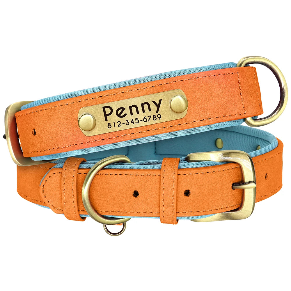 Collier en cuir personnalisé avec plaque pour chien