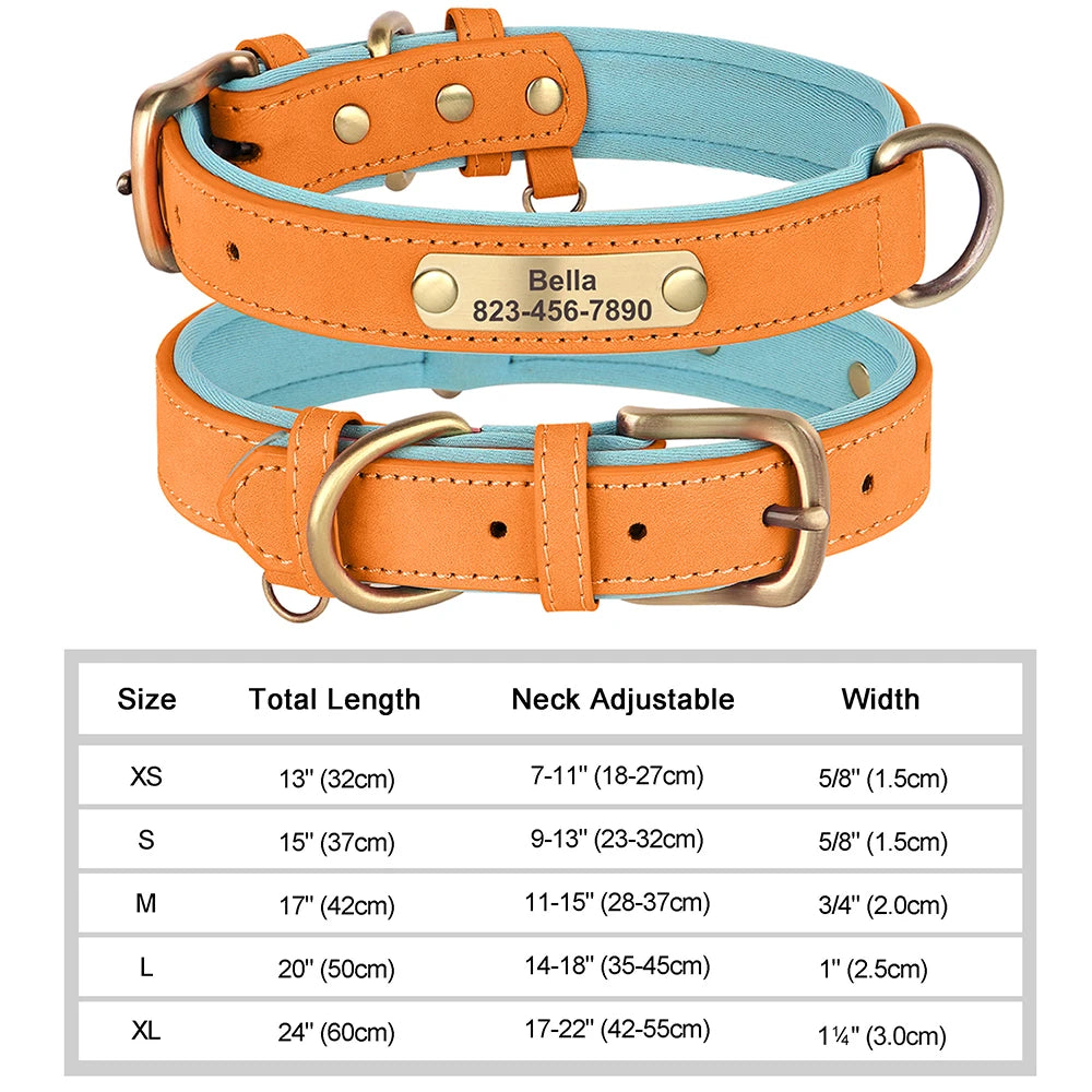 Collier personnalisé doré pour chien