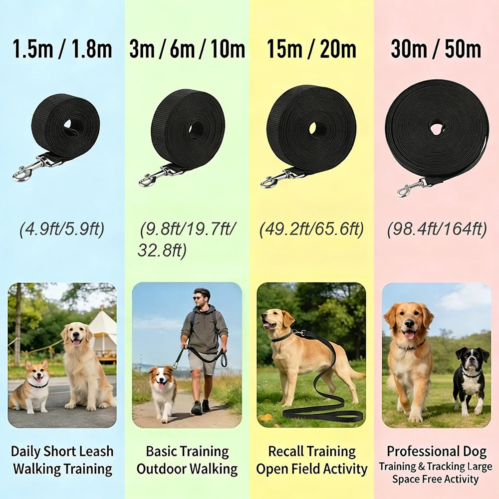 Laisse longue de dressage pour chien