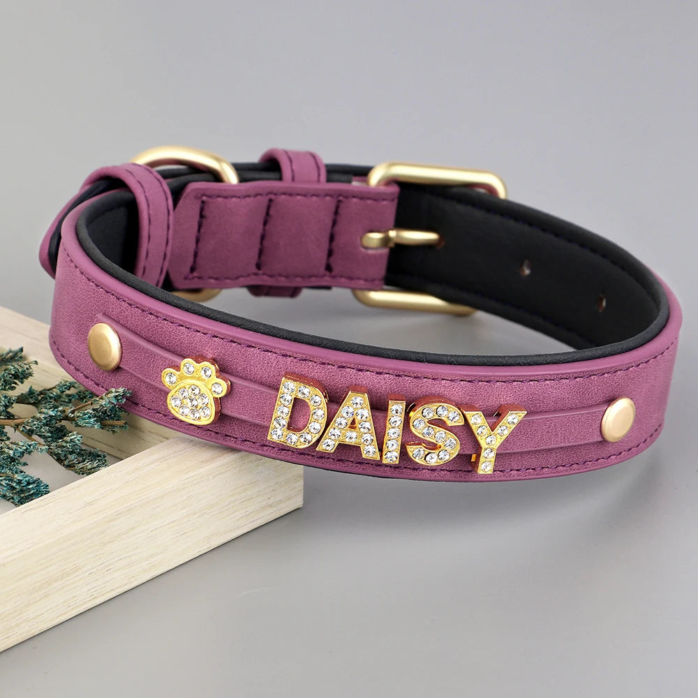 Collier en cuir personnalisé pour chien